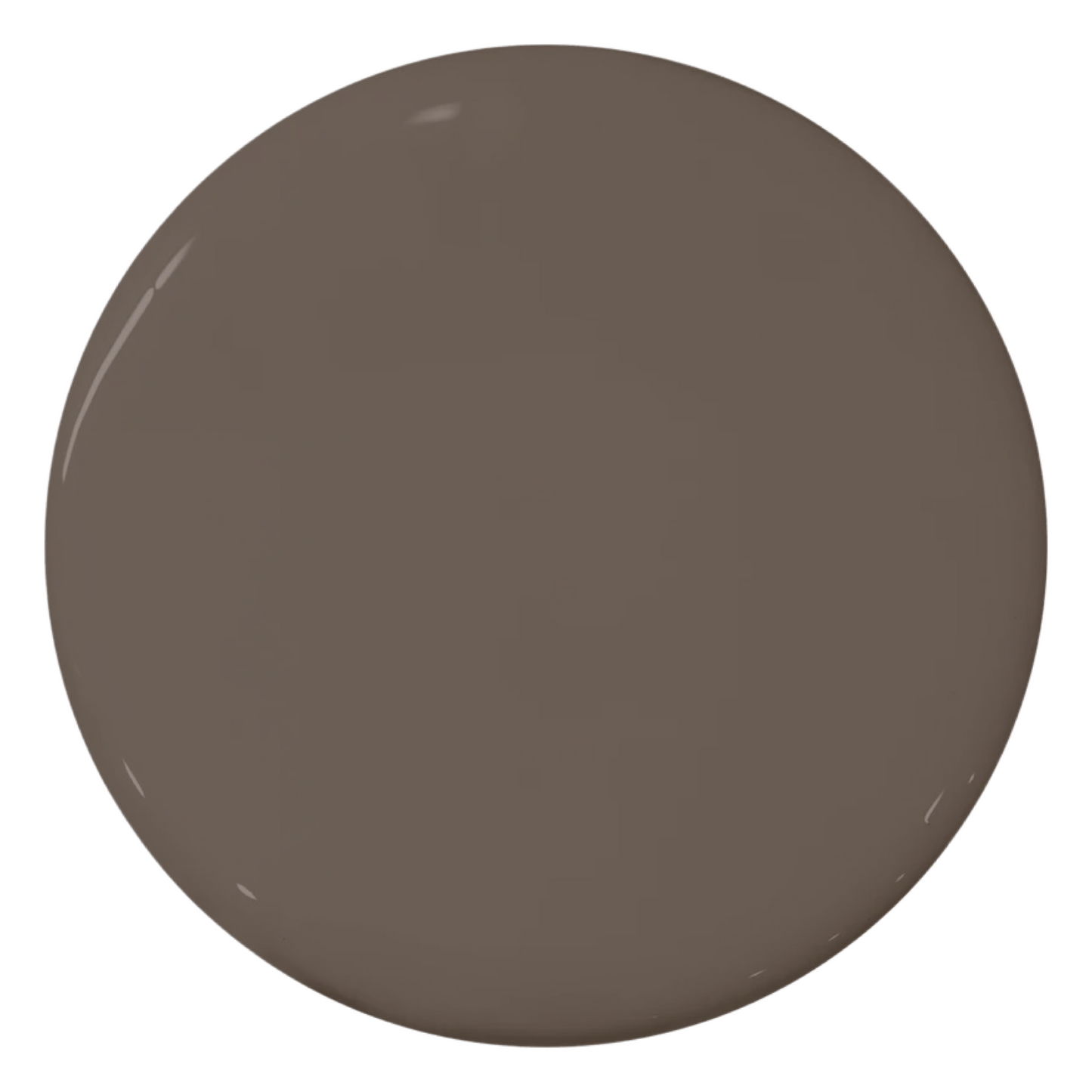 Teddy Bear Brown 1JEG