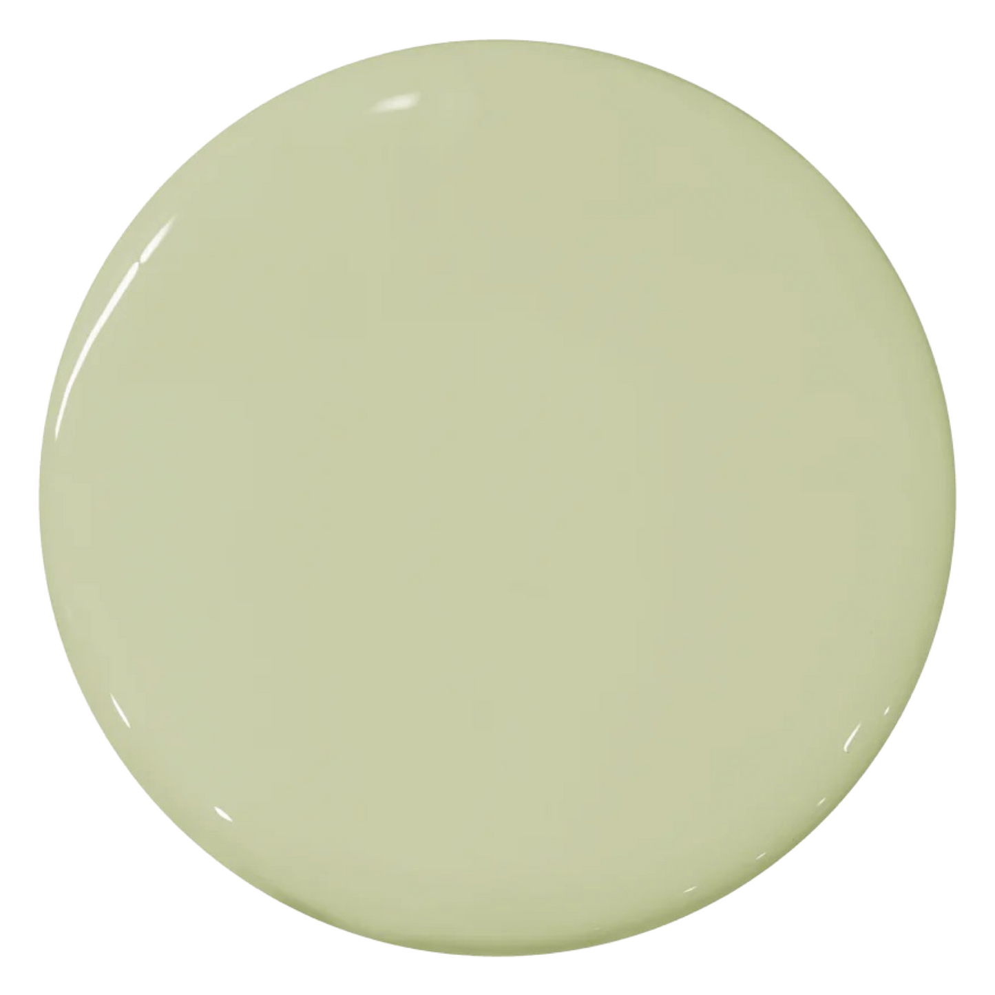 Brussel Sprout Green 1BGB