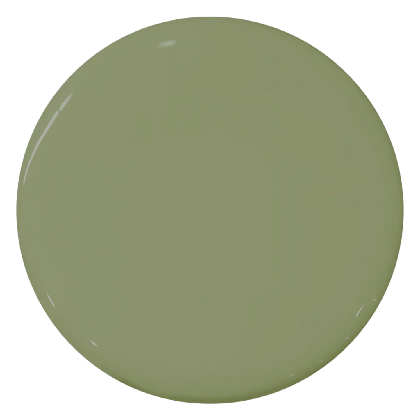 Chlorophyl 1EGB