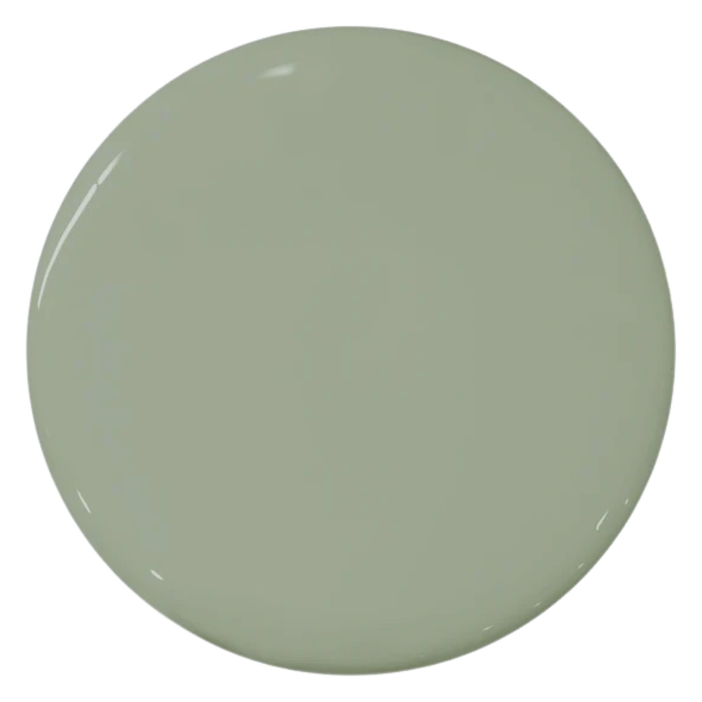 Shady Green 1FGB